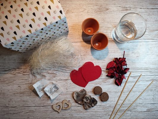 Idea regalo per San Valentino: Fai crescere l'Amore! » Un Filo Avanti